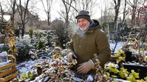 Potager d’hiver : la plupart des jardiniers oublient de semer cette salade fin février et ratent des récoltes folles au printemps